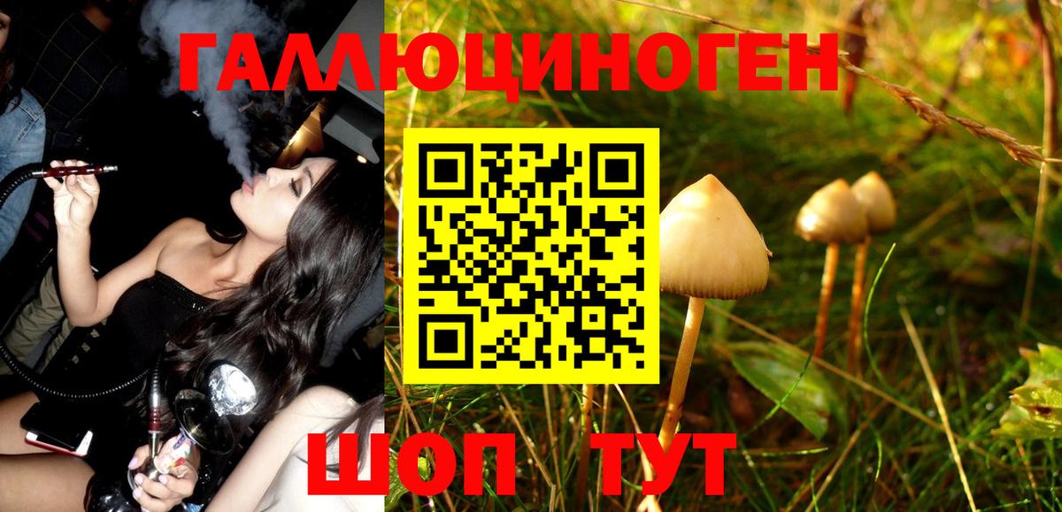 Псилоцибиновые грибы MAGIC MUSHROOMS  Вход с VPN  Саяногорск 